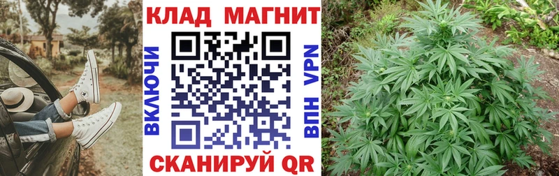 Наркошоп купить Конопля  Галлюциногенные грибы  ГАШИШ  Альфа ПВП  Codein  COCAIN  Мефедрон  Родники