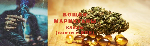 ПСИЛОЦИБИНОВЫЕ ГРИБЫ Покров