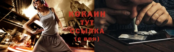 ПСИЛОЦИБИНОВЫЕ ГРИБЫ Покров