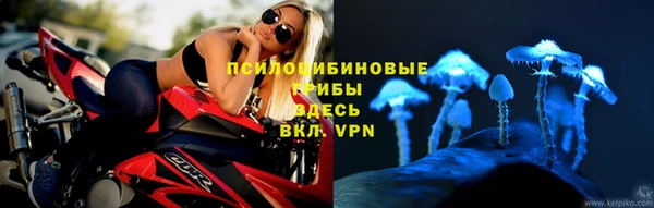 амф Протвино
