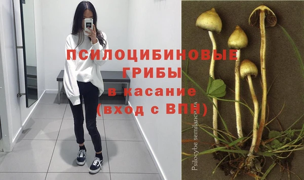 ПСИЛОЦИБИНОВЫЕ ГРИБЫ Покров
