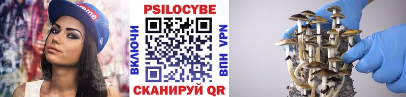 Купить где  Родники  Псилоцибиновые грибы Magic Shrooms 